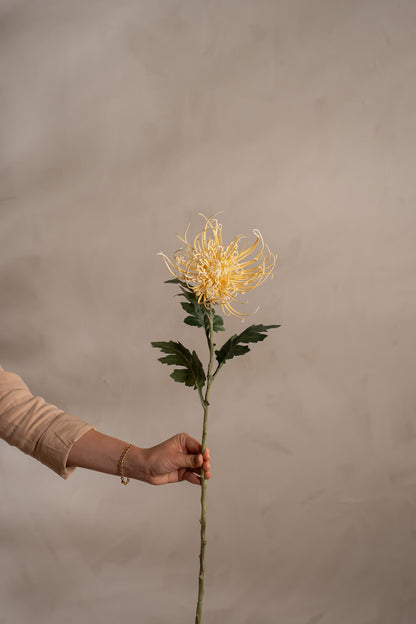 Spindel chrysanthemum gul 70 cm