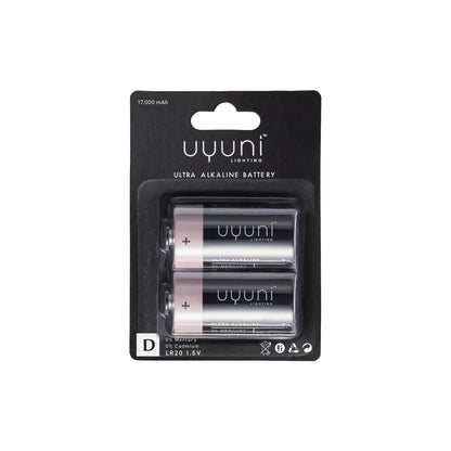 Battery D 2-pack