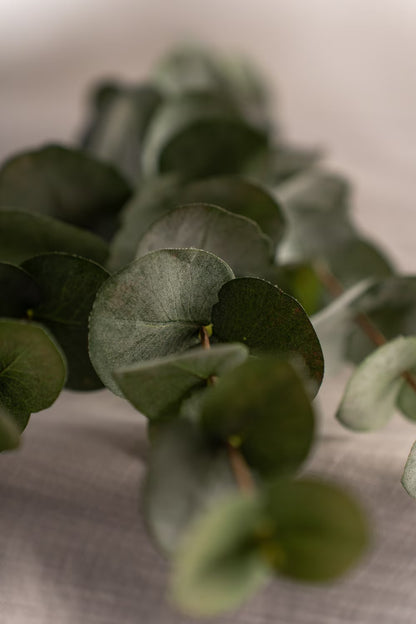 Eucalyptus grønn 60 cm