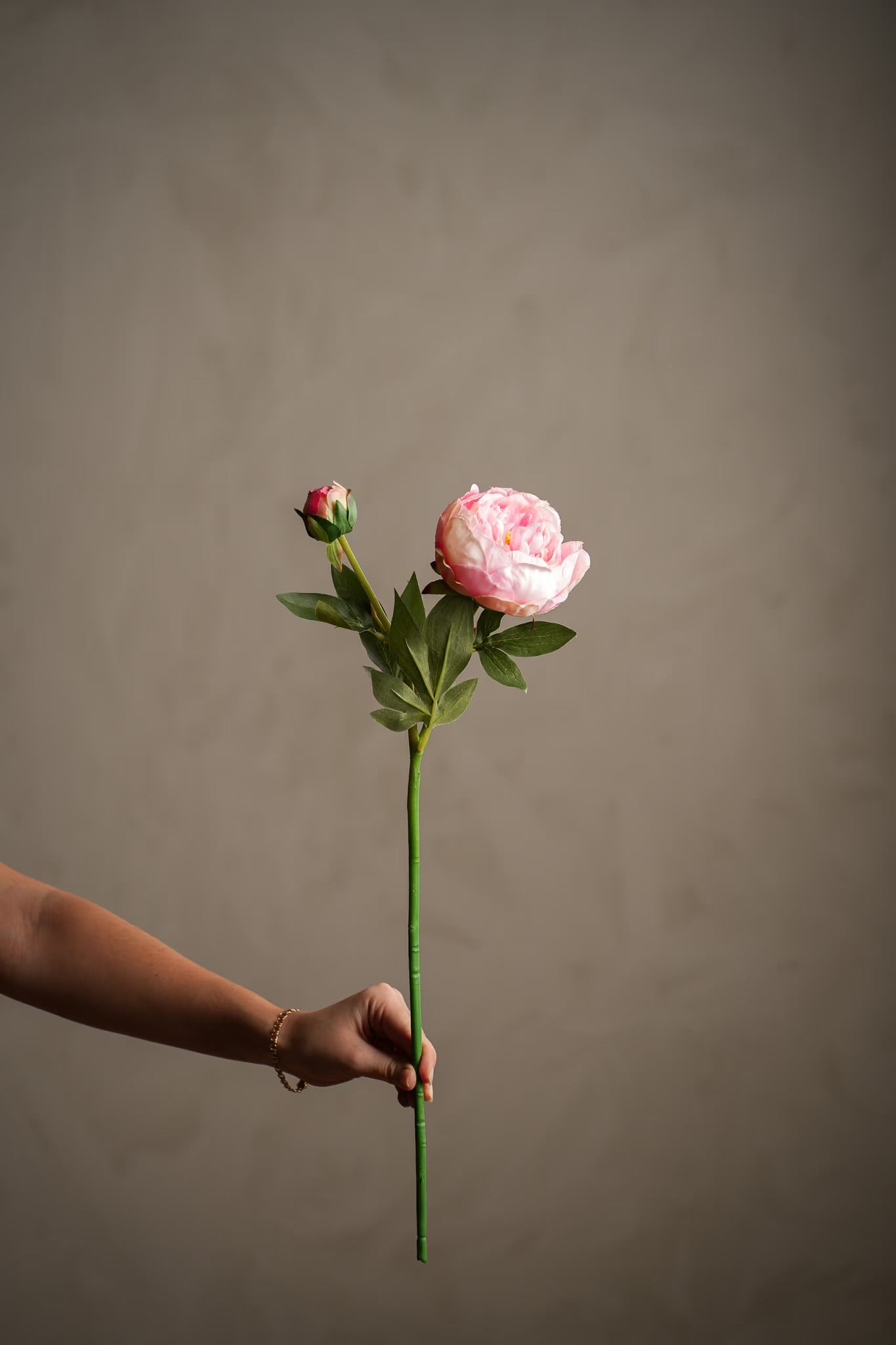 Pion lys rosa 58 cm