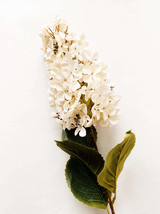 Syrinhortensia krem 82 cm