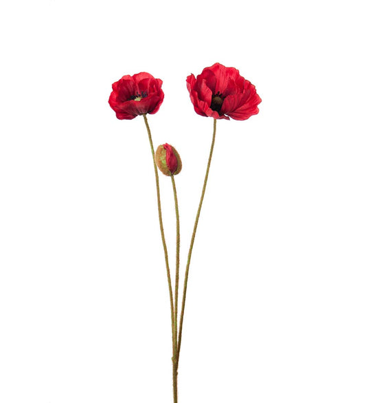 Valmue rød 75 cm