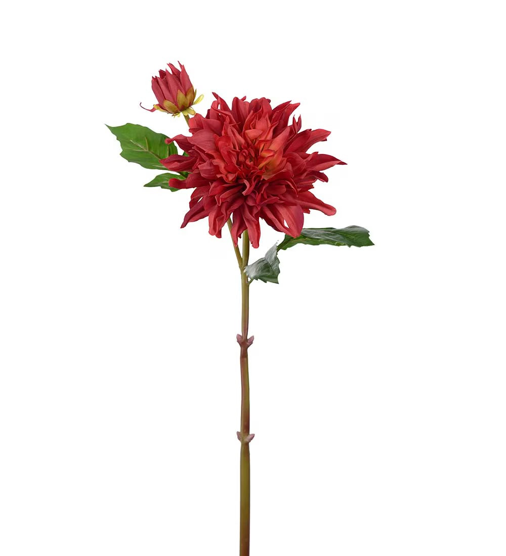 Dahlia dyp rød 70 cm
