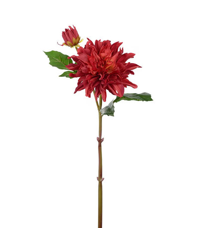 Dahlia dyp rød 70 cm