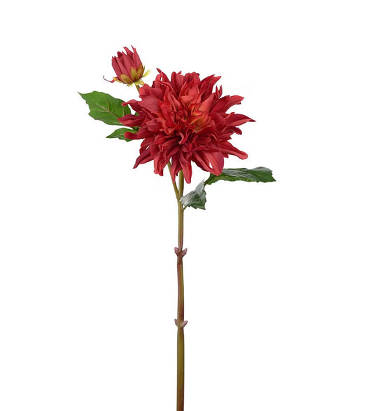 Dahlia dyp rød 70 cm