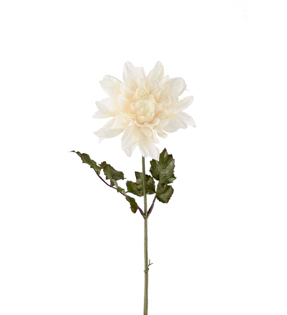 Dahlia white 45 cm