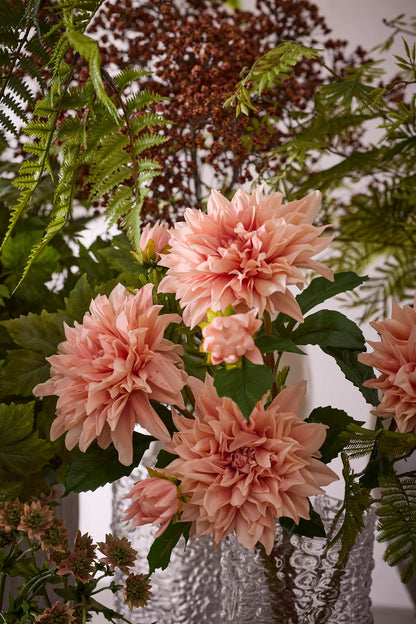 Dahlia fersken 70 cm