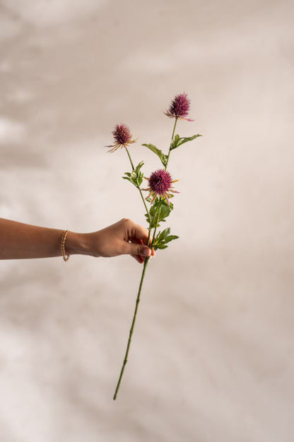 Thistle branch burgundy 60 cm