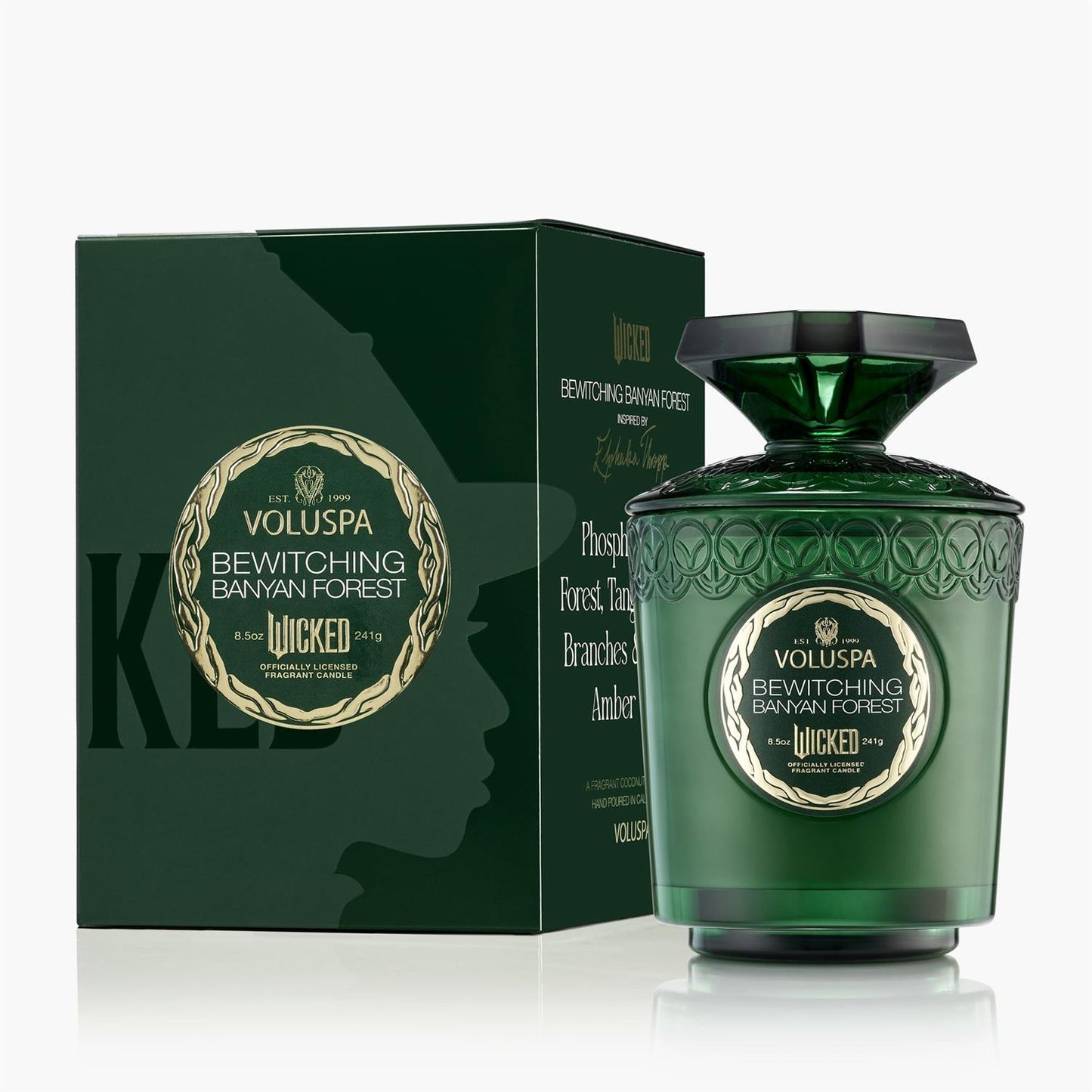 Bewitching Banyan Forest Boxed Candle 60 timer