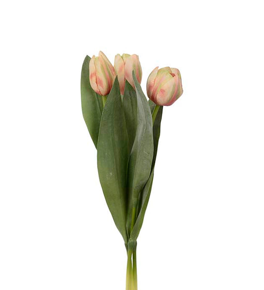 Tulipan fersken 36 cm