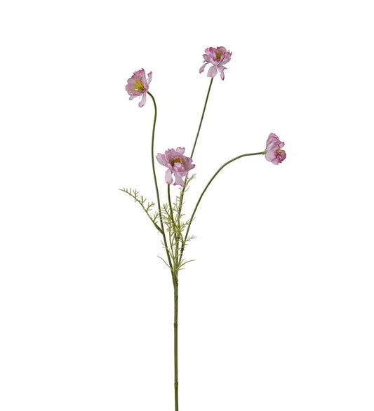 Cosmos pink 55 cm