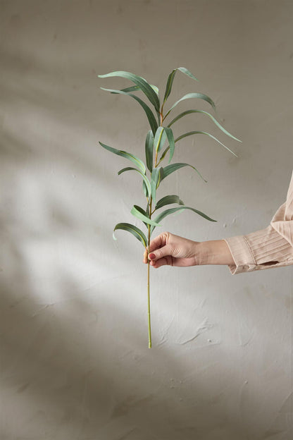 Eucalyptus grønn 60 cm