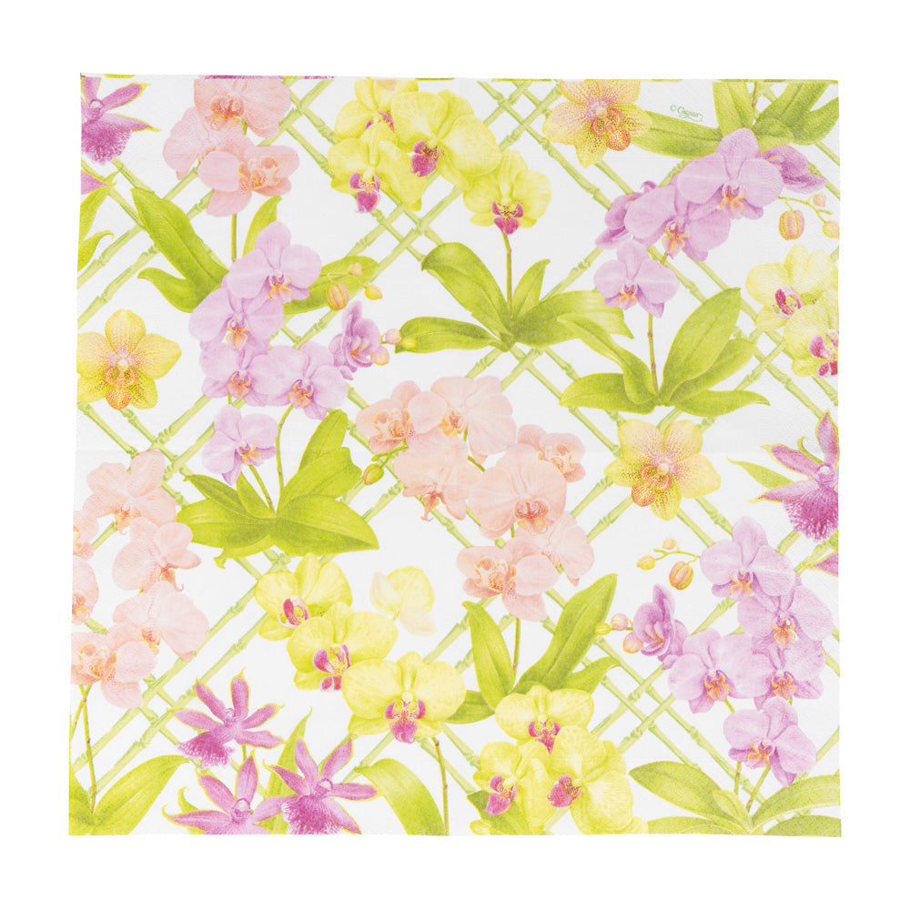 Napkin lunch Orchid conservatory