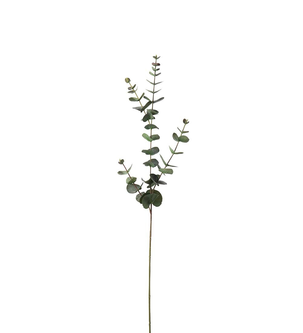 Eucalyptus grønn 80 cm