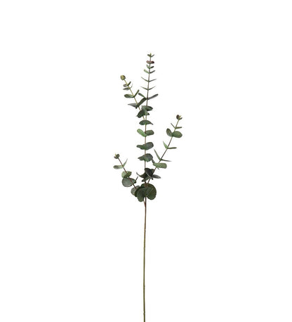 Eucalyptus grønn 80 cm