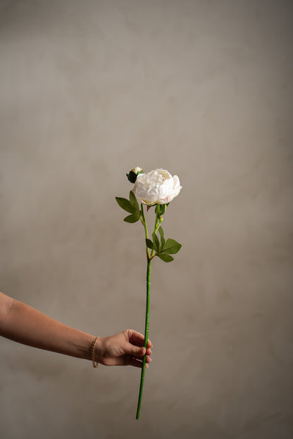 Pion hvit 58 cm
