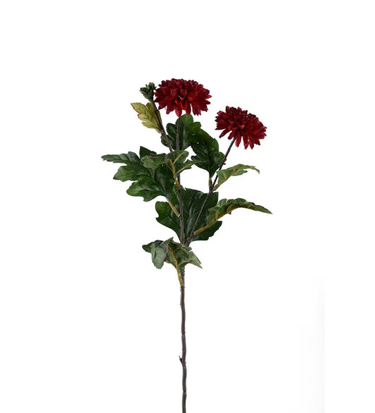 Chrysanthemum burgundy 53 cm