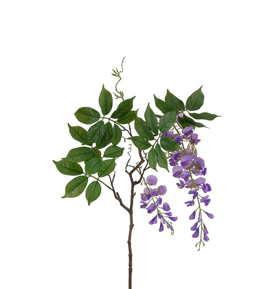 Wisteria lilla 100 cm
