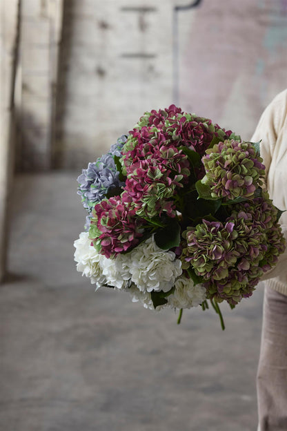 Hortensia lilla 65 cm