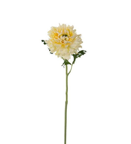 Ranunkel gul 60 cm
