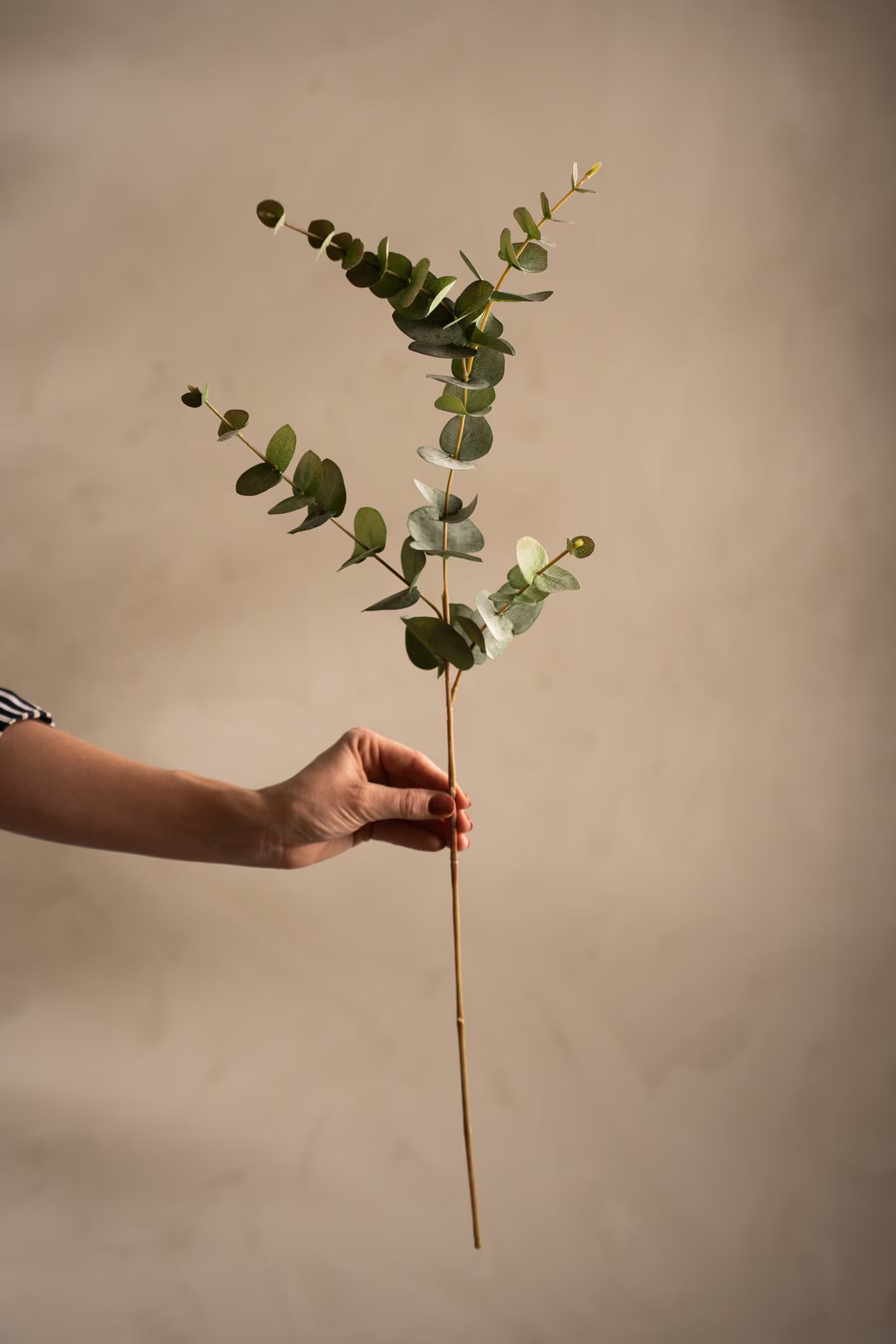 Eucalyptus grønn 80 cm