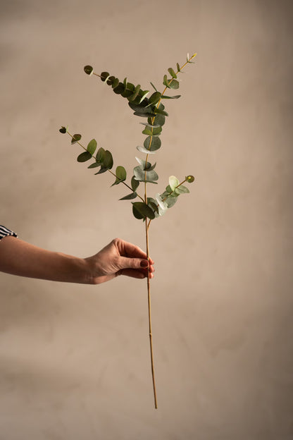 Eucalyptus grønn 80 cm