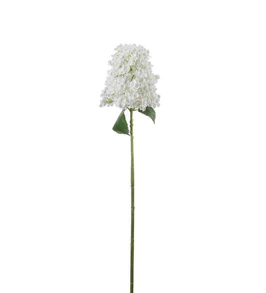 Syrinhortensia hvit 84 cm