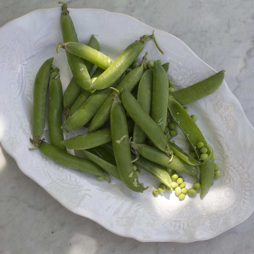 Serveringsfat ovalt 49x32 cm White