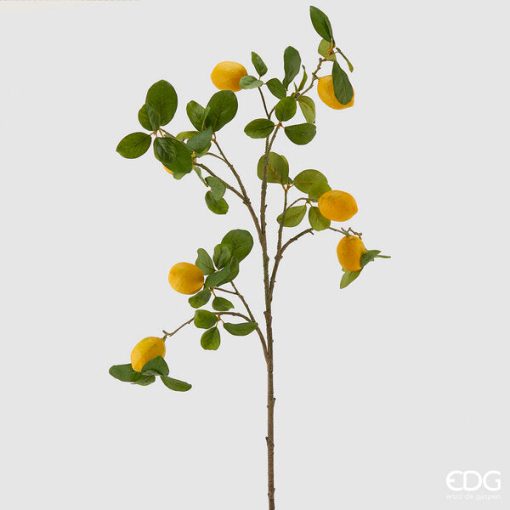 Lemon branch Limone Rex branch 105 cm