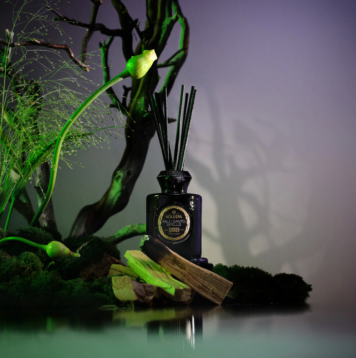 Reed Diffuser Palo Santo Spells 100 ml