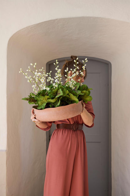 Coral bells in pot cerise pink 45 cm