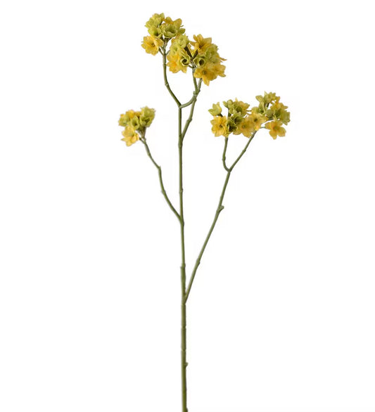 Blomstergren gul 80 cm