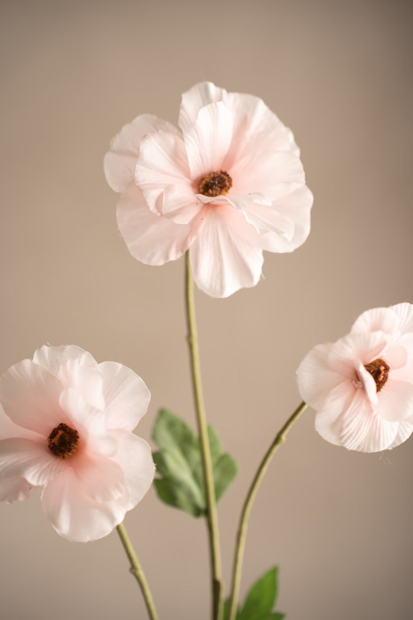 Japanese ranunculus pink 62 cm
