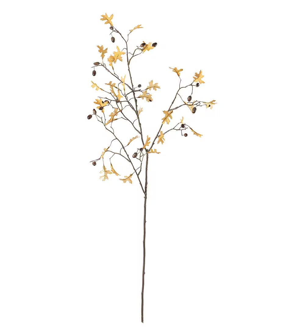 Eik kvist gul 95 cm