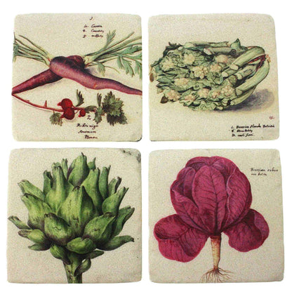 Coaster Vegetables S/4