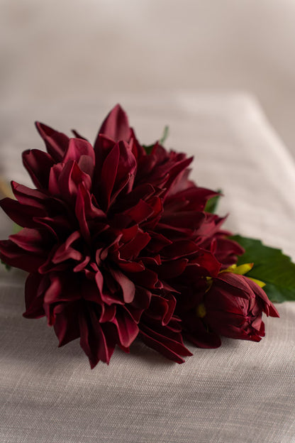 Dahlia burgundy 70 cm