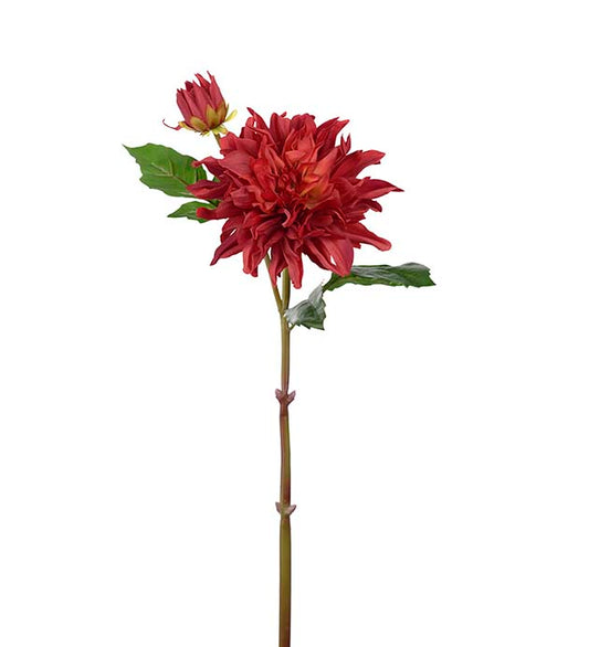 Dahlia dyp rød 70 cm