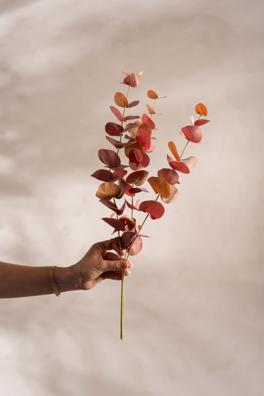 Eucalyptus rødlige toner 60 cm