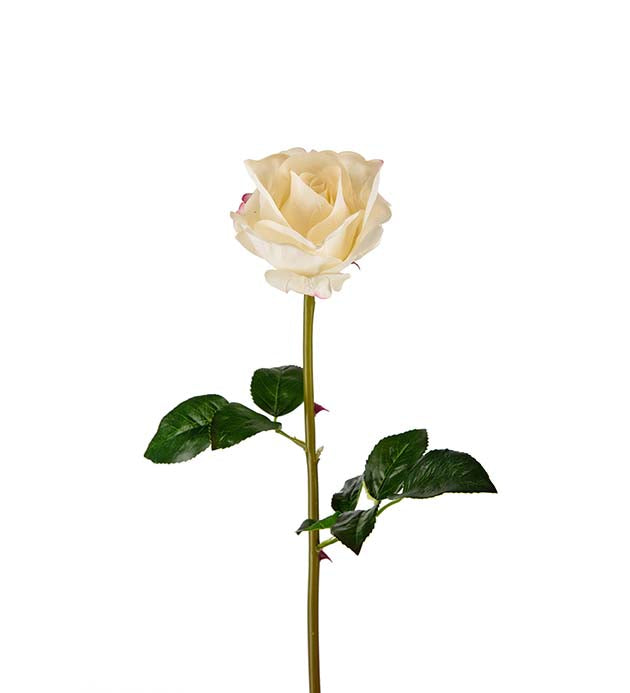 Rose hvit 65 cm