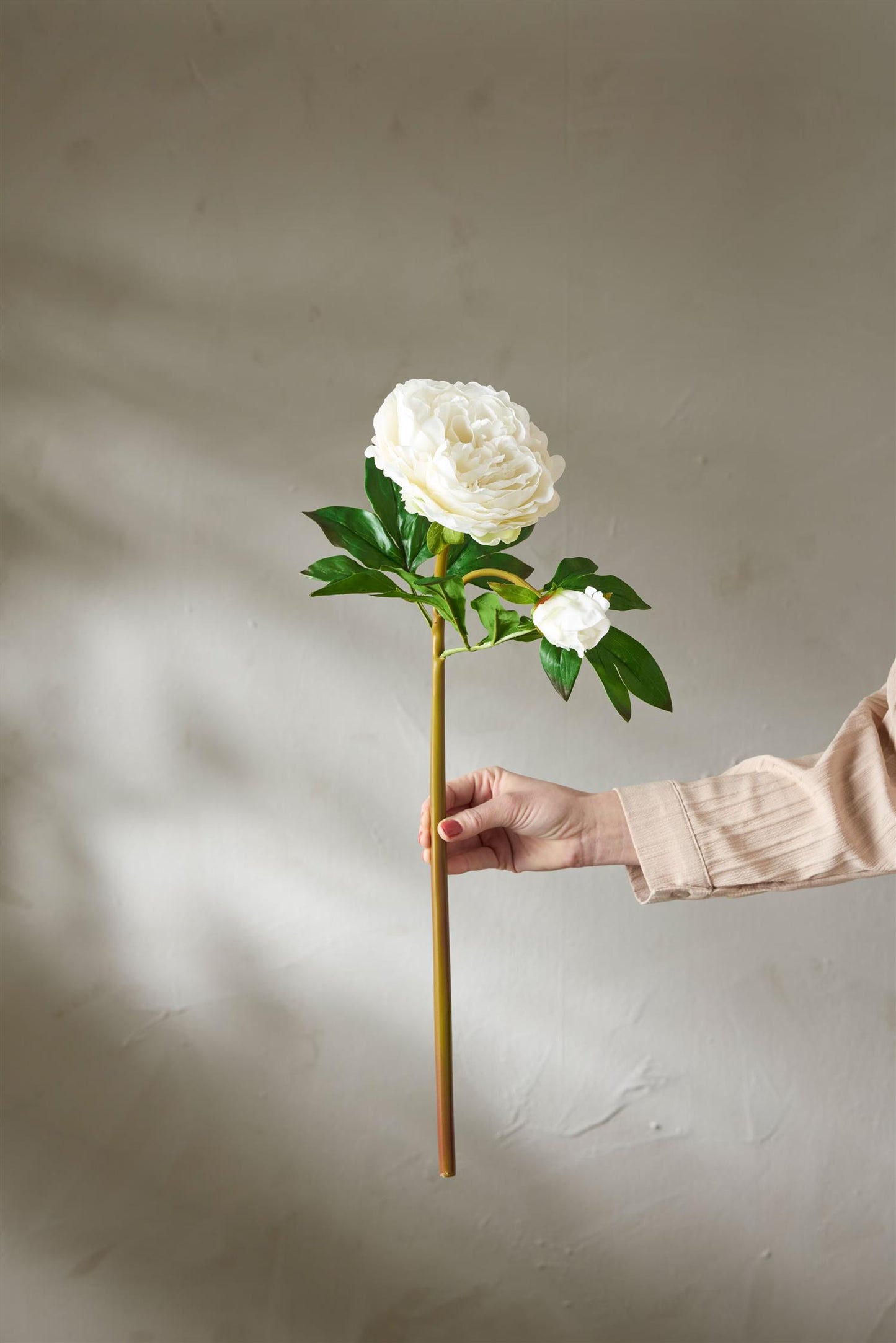 Peony white 65 cm