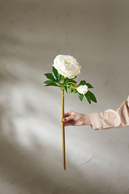 Peony white 65 cm