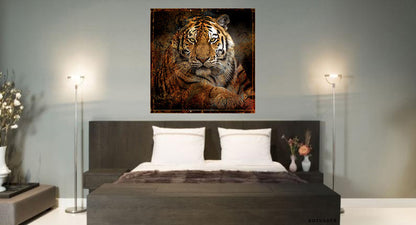 Pleksiglass bilde Redbone 100x100 cm