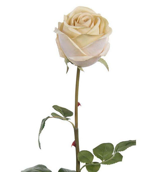 Rose hvit 75 cm
