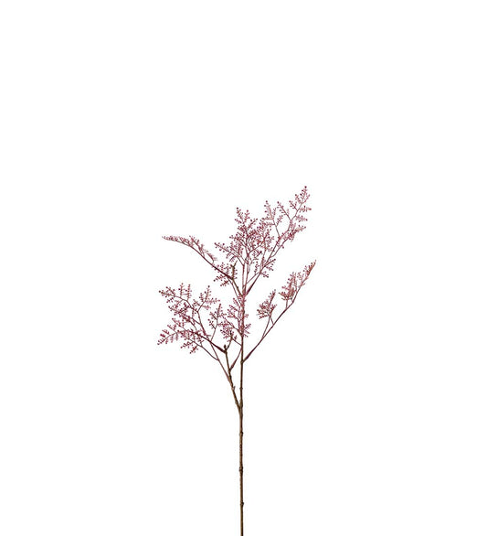 Limoniumkvist 65 cm