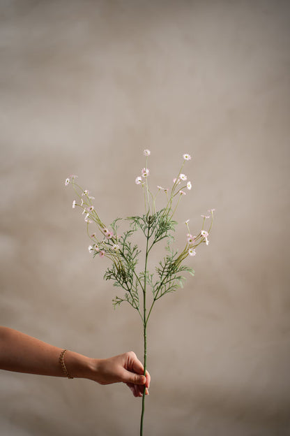 Tusenfryd rosa 72 cm