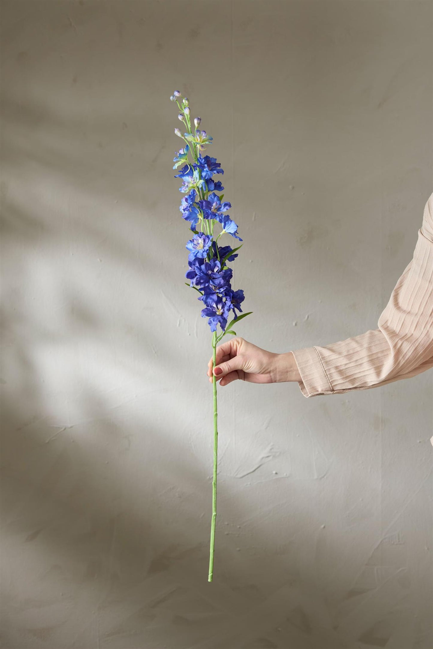 Delphinium blue 90 cm