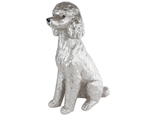 Poodle champagne 36x52 cm
