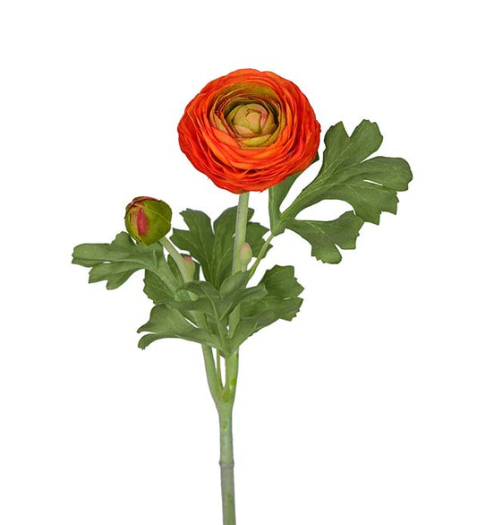 Ranunkel orange 50 cm