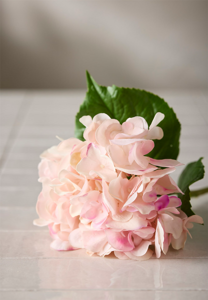 Hortensia lys rosa 55 cm