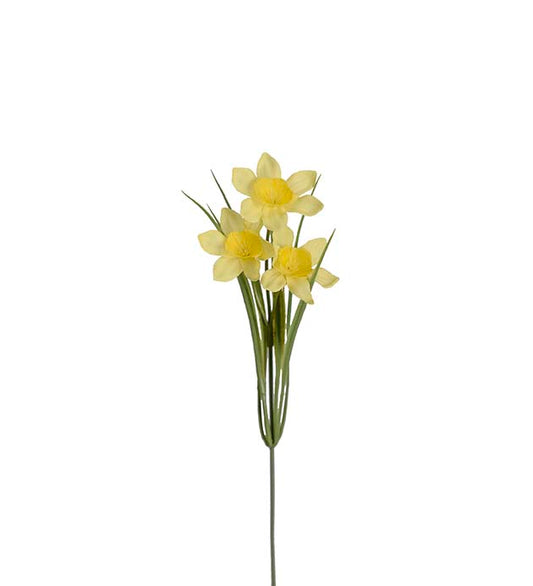 Daffodil yellow 27 cm